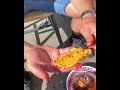 Big fat creamy Kina - Sea Urchin in New Zealand