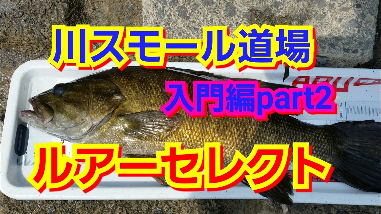 yasu 春バス釣り5月/川スモールマウスバス/ハリーシュリンプbassfishing2018年5月