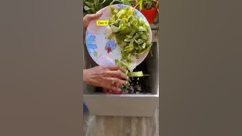 Composter for home  #compostwithvapra