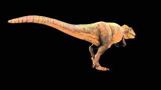 Carcharodontosaurus_WalkCycle.mkv