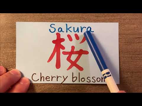 Video: Paano Gumuhit Ng Japanese Sakura