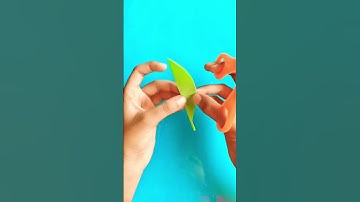 Paper leaf 🍃 - craft