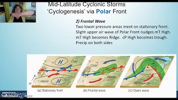 H.  Cyclogenesis