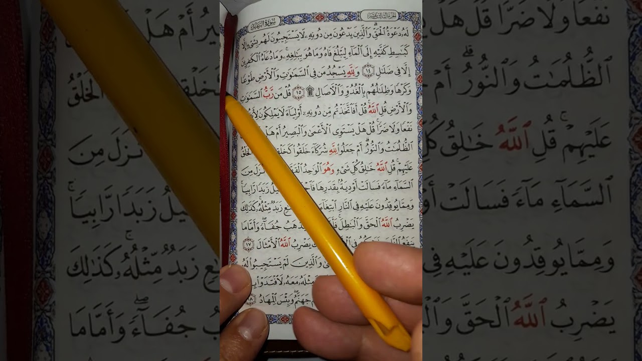 شرح رقم ٢ سورة الرعد #المصحف 