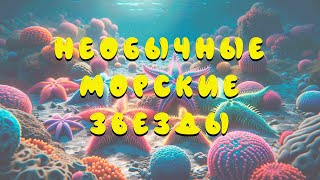 Самые необычные виды морских звезд, развивающий мультфильм для детей | Карточки Домана Познавательно