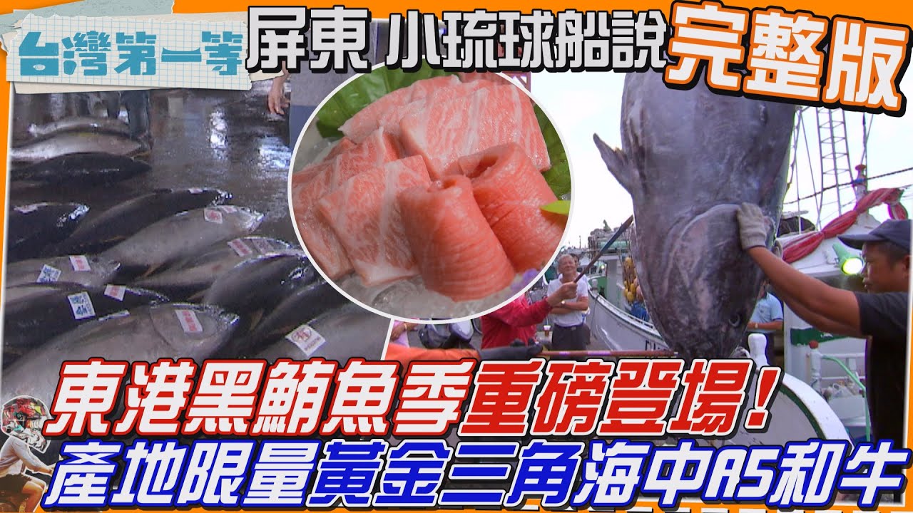 [全新] 屏東【黑鮪魚季