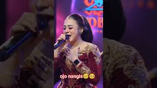 ojo nangis niken salindry lagu viral 2024