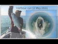 Harbour Run 12 May 2023