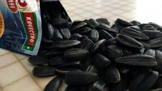 Четыре причины БРОСИТЬ ГРЫЗТЬ СЕМЕЧКИ уже сегодня! Четыре причины БРОСИТЬ ГРЫЗТЬ СЕМЕЧКИ уже сегодня!