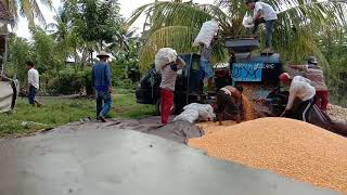 Mesin penggiling jagung di lombok timur