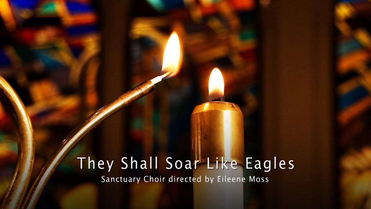 They Shall Soar Like Eagles - Laura Manzo