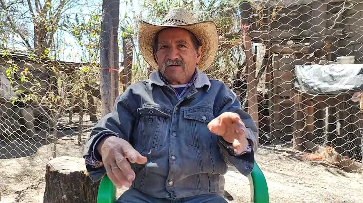JAMAICA. Platicando con Don Primo Soto