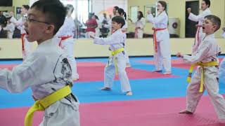 Taekwondo Orange Belt Testing