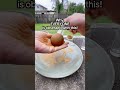 Why EVERYONE&rsquo;S obsessed with this! #dorodango #mudball #japanesecrafts