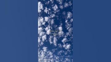 وقالوا اتخذ الرحمن ولدا | ياسر الدوسري | سورة مريم
