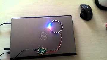 Codebug LED ws2812b ring