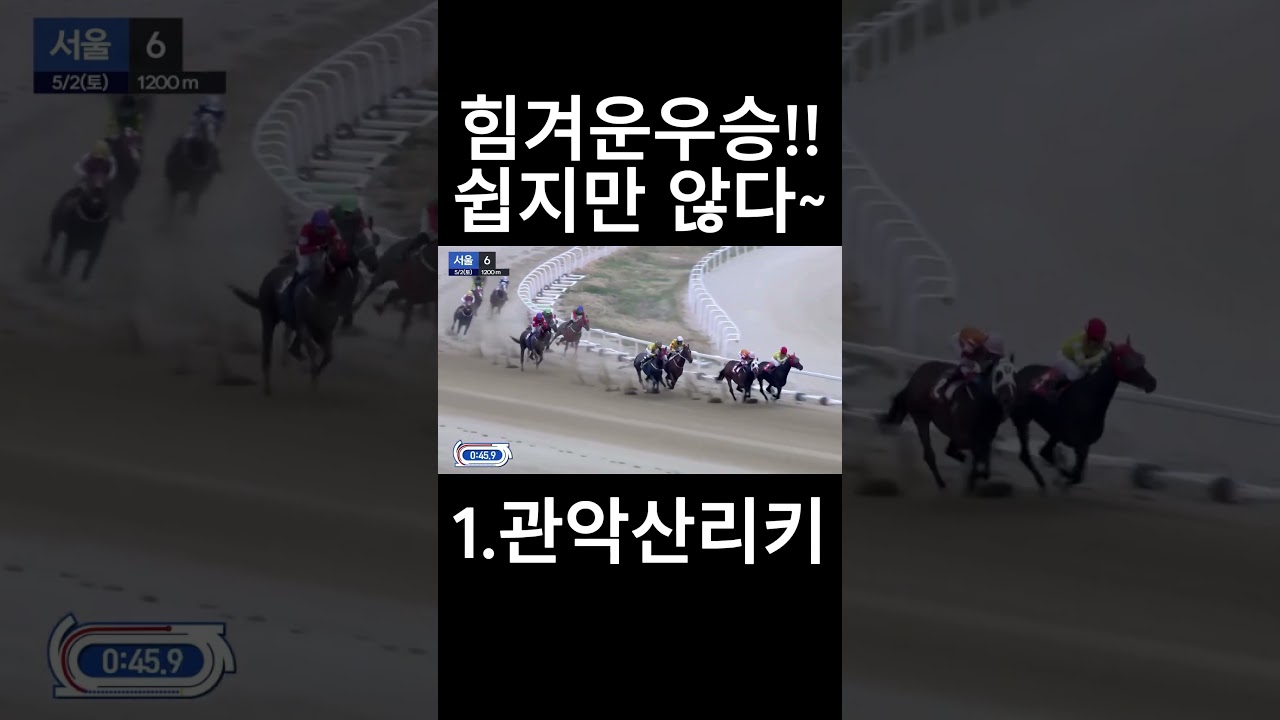힘겨운 우승~  #경마  #경마예상  #경마방송  #경마예상방송  #서울경마  #금요경마  #토요경마  #일요경마 #경마장
