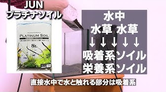 プラチナソイル Youtube
