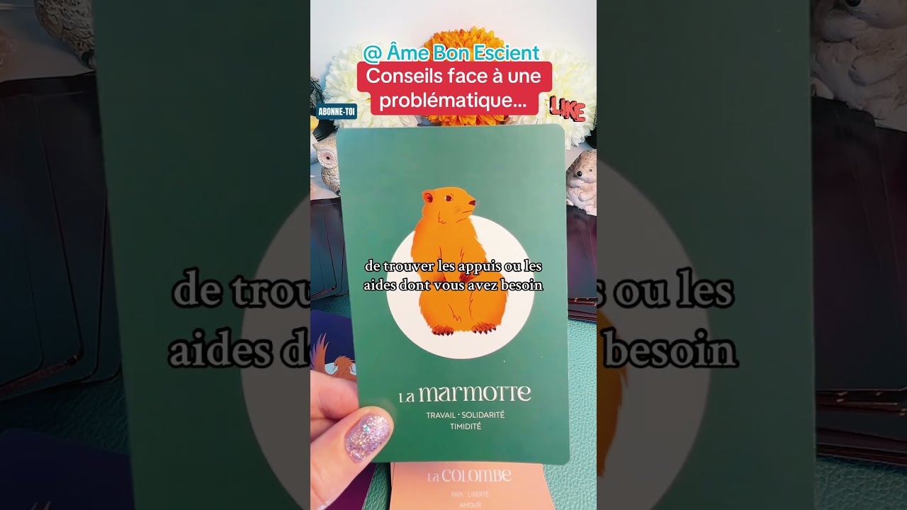 SI VOUS VOYEZ L UN DE CES ANIMAUX C EST QUE LE MESSAGE POUR Guidance Cartomancie