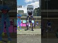 Who is taller ?