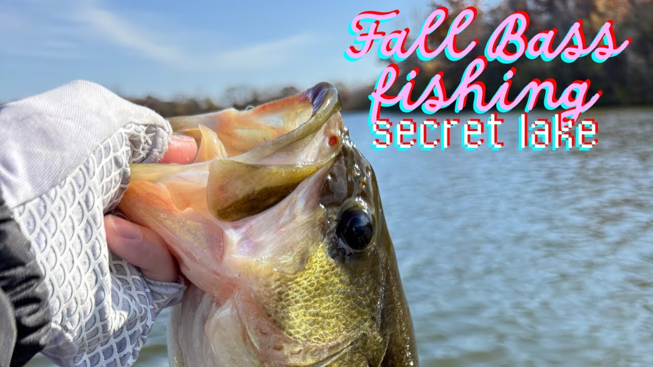 Fall Bass Fishing Secret Lake In The Twin Cities
