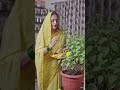 jay Tulsi mata #viral #song#hindudeity #shorts #ytshorts #youtubeshorts