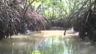 ARWC Costa Rica Expedition Race