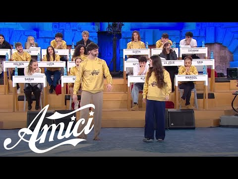 Amici 23 -