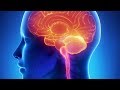 Brain food subliminal success study focus music with subliminal messages to empower your mind