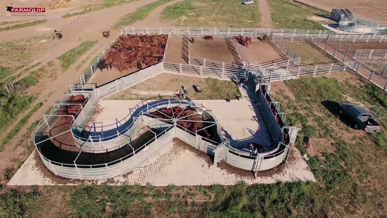 Instalacion Feed lot FARMQUIP YouTube