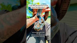 This Boa Just SHED and Turned Into a RAINBOW?! You’ve Gotta See This!!