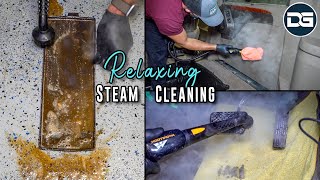 RELAXING Steam Cleaning Compilation | Disaster Car Detailing of NASTY Interiors!