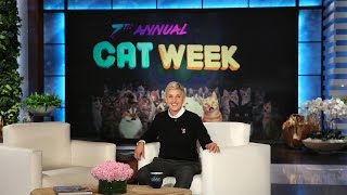 It's Ellen's 7th Annual Cat Week!