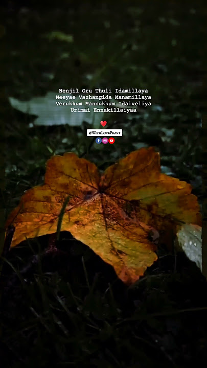 Va Va En Thalaiva | Santhitha Velai | Deva | With Love Pravy | Unnikrishnan | Harini | Status | Vibe