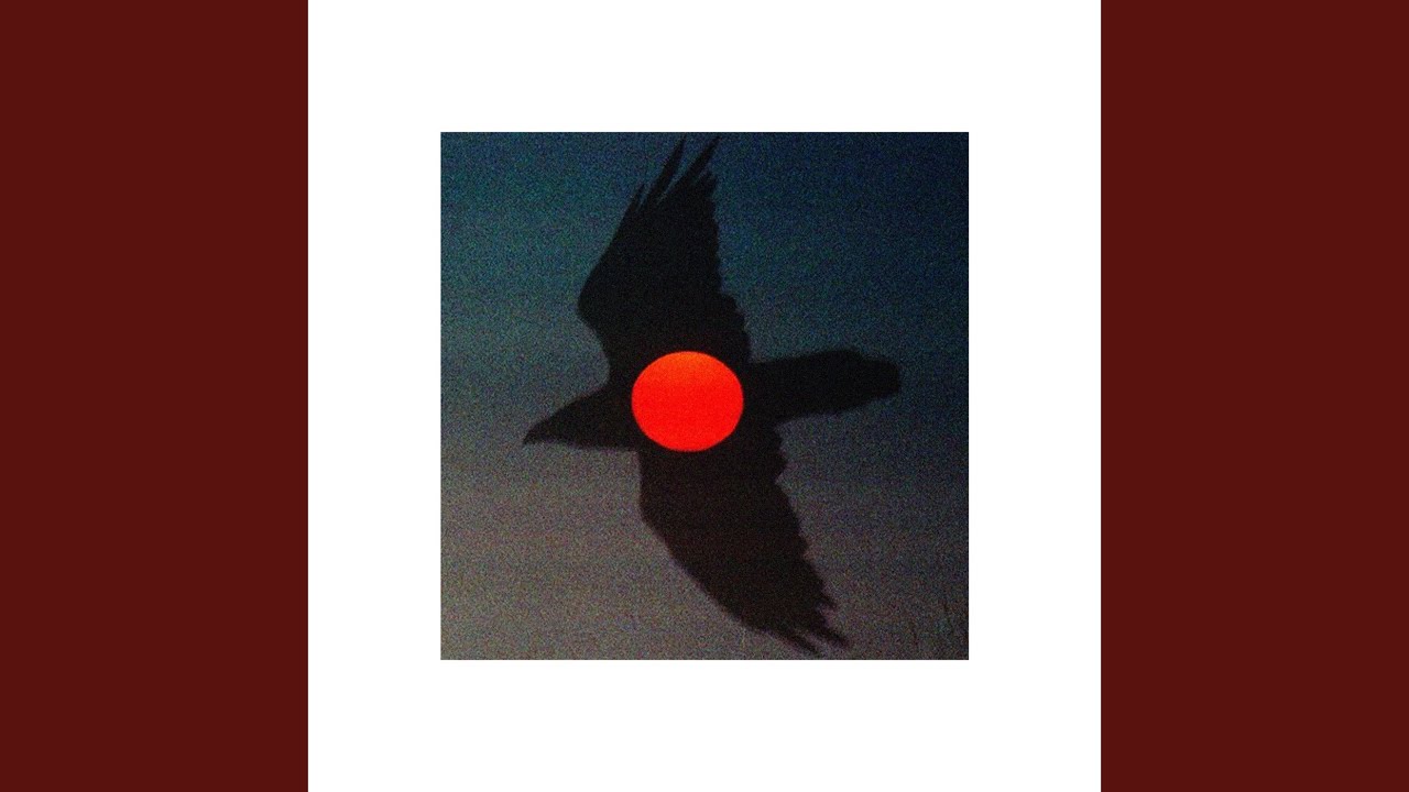 Watch Sunrise Flight on YouTube Watch Sunrise Flight on YouTube