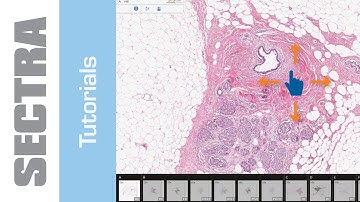 Tutorial Sectra IDS7 Touch - Histology touch gestures