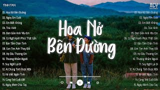 Mây Lấp Đi Cả Vùng Trời Chói Nắng...Hoa Nở Bên Đường, Ngày Em Cưới  | LK ACV Nhạc Trẻ Nhẹ Nhàng 2024