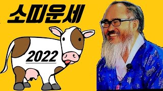 [2022년 소띠운세] 재물운과 사업운과 직장운.애정운.운서운이 크게 열린다