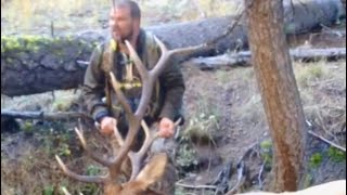 Walking up to an archery elk bull, with my family by Jason Rossman 381 views 1 year ago 3 minutes, 4 seconds