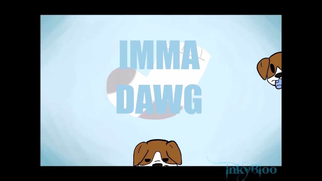 DOGS LIKE SOCKS [Part 17] YouTube