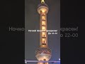 Ночной Шанхай. Зелень покрыта гирляндами. И ночью светится, как лужайка вокруг дерева Эуа в Аватаре