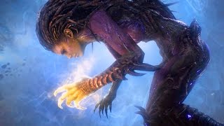 Essence of Eternity: Kerrigan Becomes Xel'naga (Starcraft 2 Epilogue | Raynor | Void)