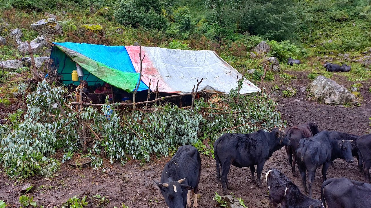 Nepali Rural Community Very Beautiful Rural Nepali Village Lifestyle |Poor But Always Happy ...