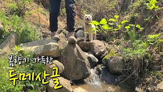 봄향기 가득한 두메산골 by 두메산골 Rural Life in Korea 7,630 views 1 month ago 9 minutes, 28 seconds