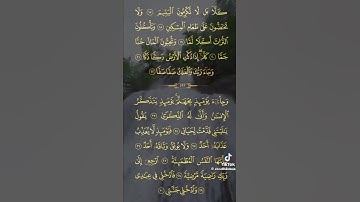 سوره الفجر | الشيخ حامد سلام #تلاوة_خاشعة #اكسبلور #قرآن #راحة_نفسية #تلاوة #لايك #quran #قران_كريم