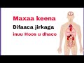 Maxaa Keena In Difaaca Jirkaga Hoos U Dhaco Caafimaad Maxaa Keena In Difaaca Jirkaga Hoos U Dhaco Caafimaad
