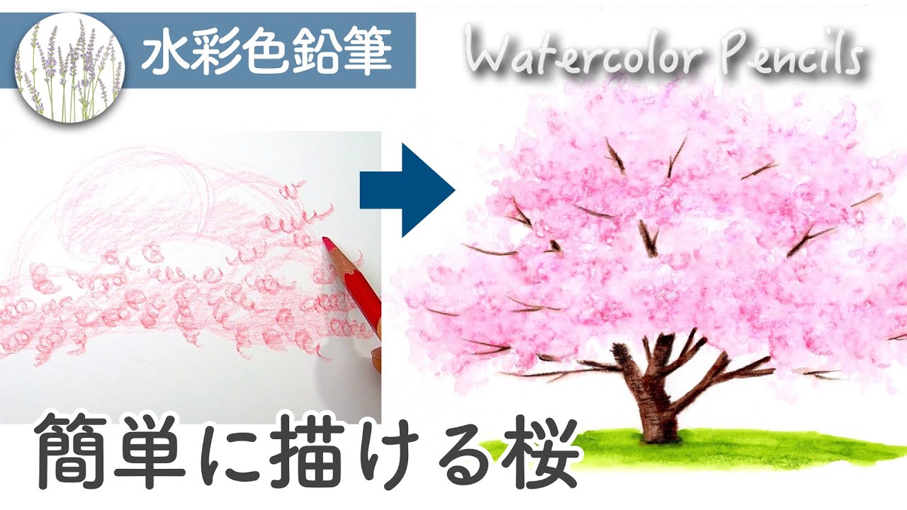 水彩色鉛筆 桜の木の描き方 超簡単 Youtube