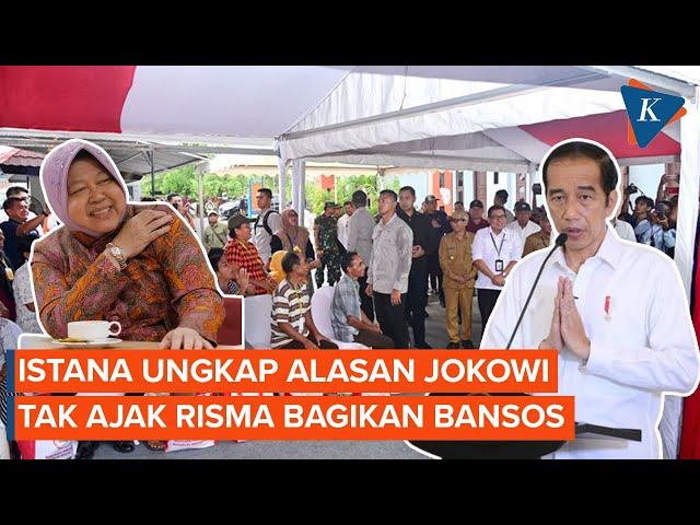 Istana Ungkap Alasan Jokowi Sengaja Tak Ajak Mensos Saat Bagikan Bansos class=