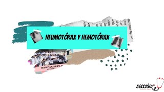 Neumotorax Y Hemotorax. Laura Morales 1