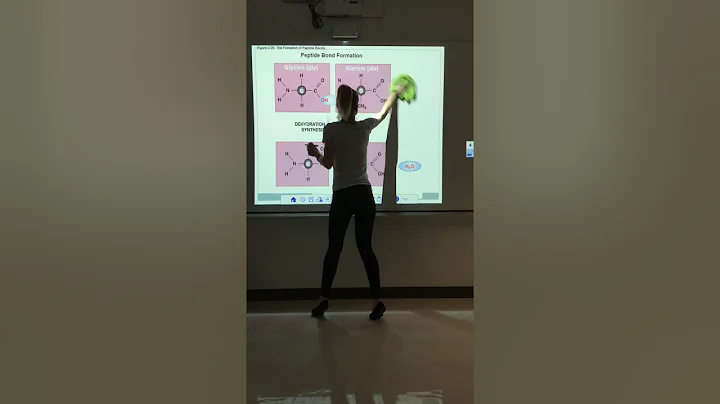 Chapter 2: The Chemistry of Life (Part 3.2)